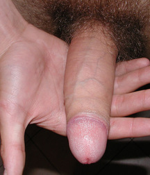 Mike 5db67f82c09dc.jpg