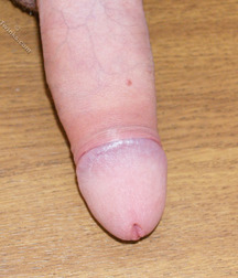 Moriz 5db687466178c.jpg