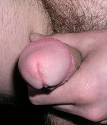 Nil 5db7d953eeda7.jpg