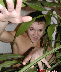 Pett 5db93f7312800.jpg