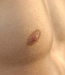 Remi 5dba80379398e.jpg