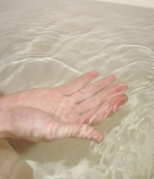 Luchic 5dcfb0d56fe13.jpg