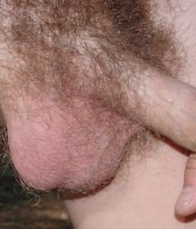 Randolph out in the woods boys porn 5facc9e3ab957.jpg