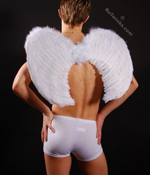 It seems Angelok has won his wings boys porn 5fae0ee99f98b.jpg