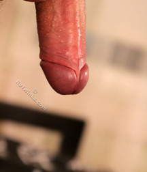 Cute Twink Zoltan Porn 5fb4ac9a958e0.jpg