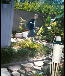 Office Blond then pees in the garden 6289d7c5e241f.jpg