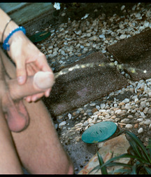 Office Blond then pees in the garden 6289d9650a2e2.jpg