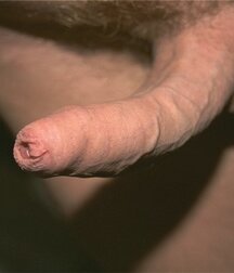 In training gym boys porn teen 62b8053209c3e.jpg