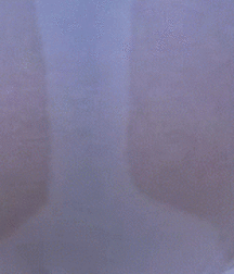 Cute guys and ass 5da06beecc067.gif