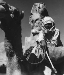 Oriental tribes - a gout of pralines 5da7a919290b9.png