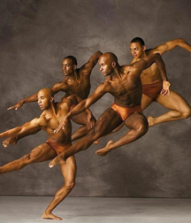 Jungle Fever  5daa59c2e28d7.png