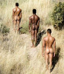 Jungle Fever  5daa59c931683.png