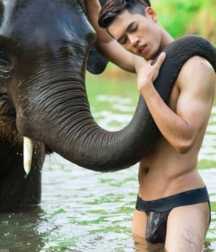 Jungle Fever  5daa5a040d10f.png