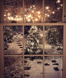 xmas 5dffc619b22d5.jpg