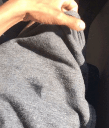 Hung Latino 5dc2131f495ff.gif