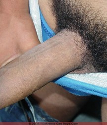 Will2 5e4189d885af9.jpg