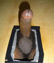 Black Dicks and Gloryholes 5dc8a5d9b8a04.jpg