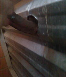 Black Dicks and Gloryholes 5dc8a6e79911c.jpg