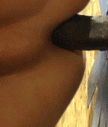 Black Dicks and Gloryholes 5dc8a6ea6085c.gif