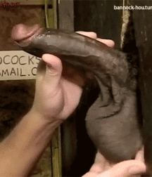 Black Dicks and Gloryholes 5dc8a705ca57d.gif