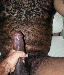 Hairy Black Daddies 5dc8c3a6a760a.jpg