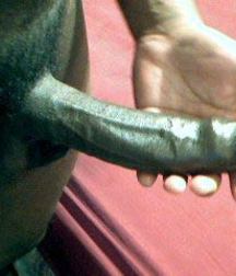 Uncut Black Cocks 5dcf1c8403fcf.jpg