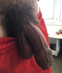 Uncut Black Cocks 5dcf1e489c8f4.jpg