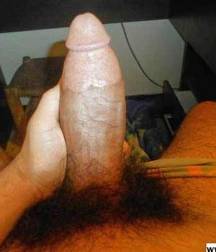 Arab Cocks 5dd0206c87f3a.jpg