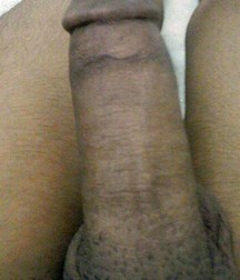 Arab Cocks 5dd020c4c6388.jpg