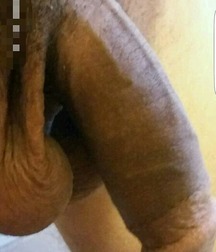 Arab Cocks 5dd02128a358b.jpg