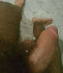 Arab Cocks 5dd0212c658e7.jpg