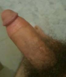 Arab Cocks 5dd0212d97888.jpg