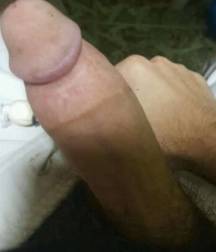 Arab Cocks 5dd0212ed0df7.jpg