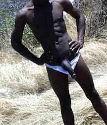 Blacks from a very old CD 5df5118bd90d1.jpg