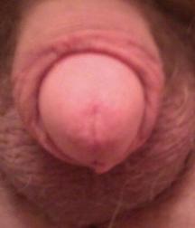 A butt load of tiny penis please  5dc5f86272e31.jpg