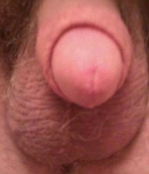 A butt load of tiny penis please  5dc5f863e03d8.jpg