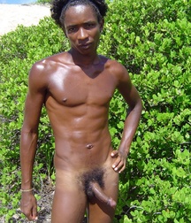Caribbean Stars Twinks Porn 5f26df1b2de47.jpg