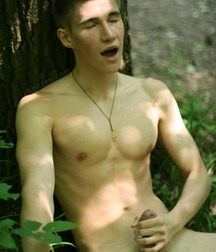 forest 5ded1b72b8e53.jpg