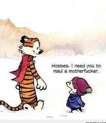 Funny and smaller Things weird and wonderful 5dda442db1af9.jpg