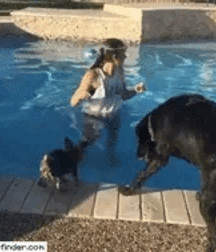 Nude cute boys and cute not nude boys  5eac5e5cac46f.gif