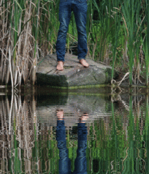 gif 5de972aa512f6.gif