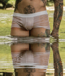 gif 5de972c812c0f.gif