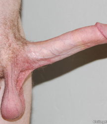 Jeune et Sexy 2 Young Teen Twink 5e177ef115f58.jpg