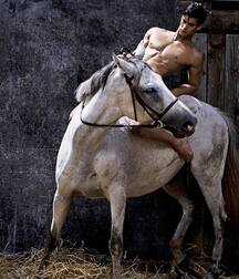 HOMO EROTICA BOYS PORN 5eb72139245bc.jpg