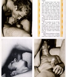 VINTAGE FUN GAY PORN TUBE DESIGN 3 5f0f75b8c9551.jpg
