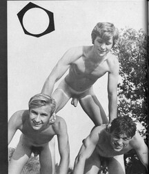 VINTAGE FUN GAY PORN TUBE DESIGN 3 5f0f76139d737.jpg
