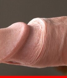 acteurs de Bel Ami gay porn 4 5f68f70b3efaf.jpg