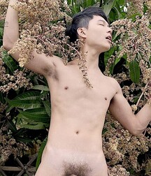 Asiatiques sexy gay tube 60526b34501ee.jpg