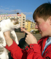 Mecs sexy et leurs chat gayboystube 606e32d8efa75.jpg