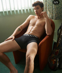 Shawn Mendes et Taft Gay Tube 60af7f134025e.jpg